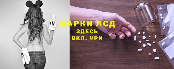 гидропоника Горнозаводск
