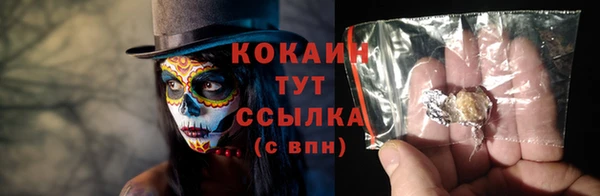 гидропоника Горнозаводск