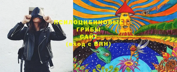 гидропоника Горнозаводск