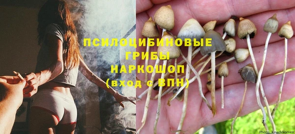 прущий лед Горняк