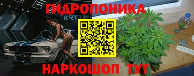 гидра Гусев