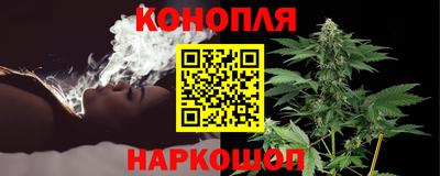 бошки Бийск