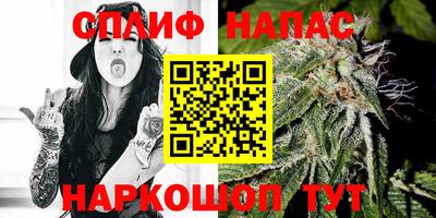 гидра Гусев