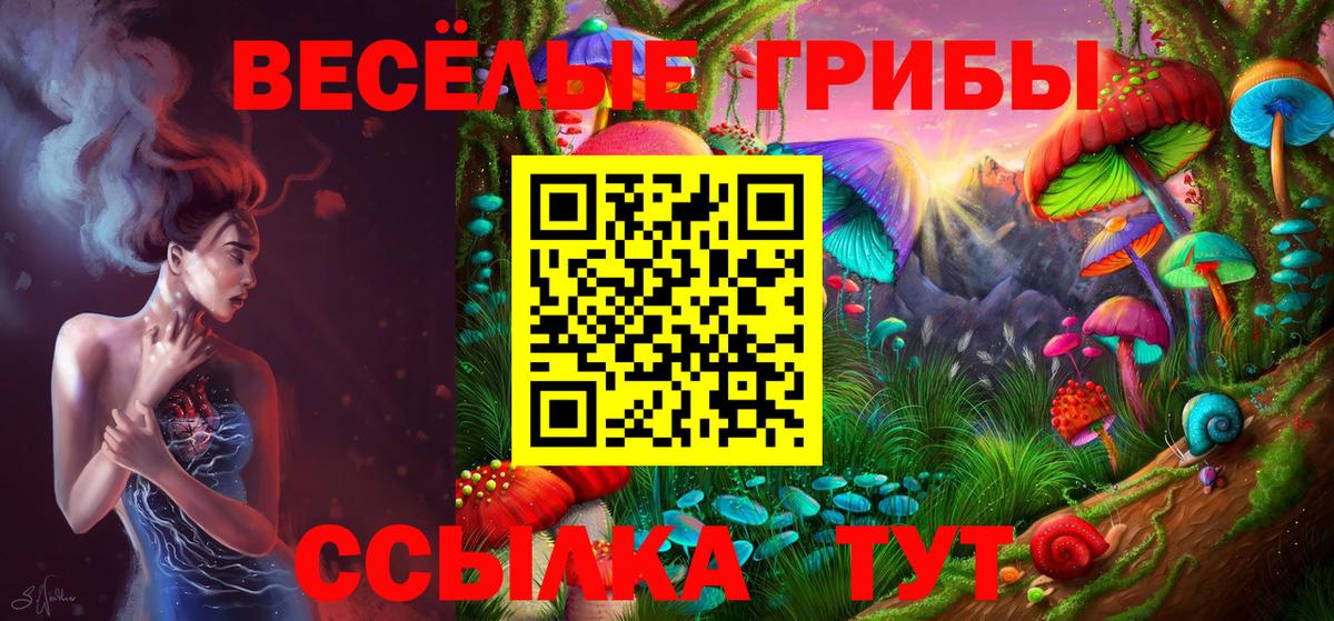 Псилоцибиновые грибы Psilocybine cubensis  Вход с VPN  Мценск 