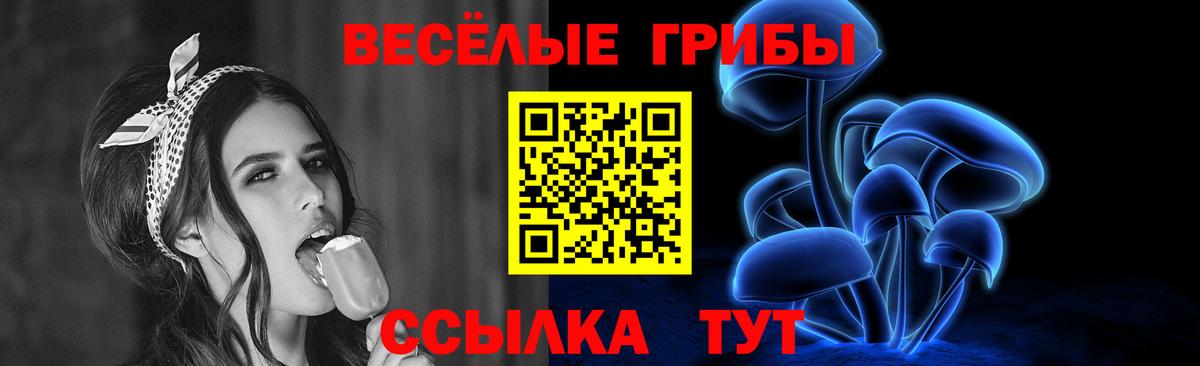 Псилоцибиновые грибы MAGIC MUSHROOMS Мценск